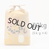 北海道長沼町産ななつぼし　20ｋｇ　　契約栽培米　【送料無料】