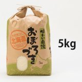 北海道長沼町産おぼろづき　5ｋｇ　　契約栽培米　【送料無料】
