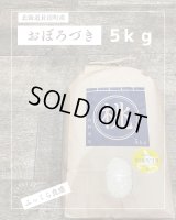 北海道長沼町産おぼろづき　5ｋｇ　　契約栽培米　【送料無料】