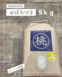 北海道長沼町産おぼろづき　5ｋｇ　　契約栽培米　【送料無料】