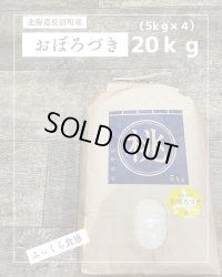 北海道長沼町産おぼろづき　20ｋｇ　　契約栽培米　【送料無料】