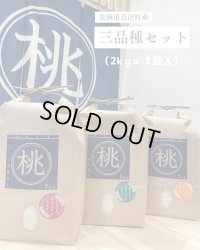 三品種詰め合わせ（各2ｋｇ×3個）　　契約栽培米【送料無料】