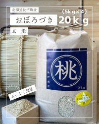 北海道長沼町産おぼろづき玄米　20ｋｇ　　契約栽培米　【送料無料】
