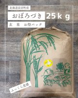 北海道長沼町産おぼろづき玄米　25ｋｇお得パック　　契約栽培米　【送料無料】